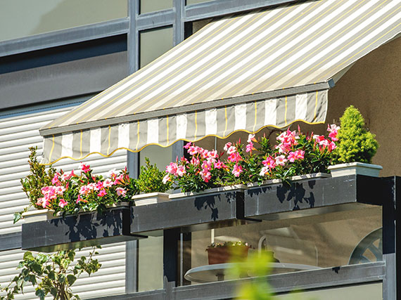 ¡Pon tus balcones en flor! (2ª parte) 